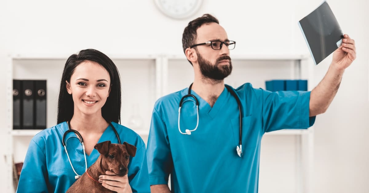 Financial Aid, Loan Options + More